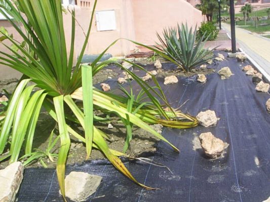 2008 pm4 garden portals prepared