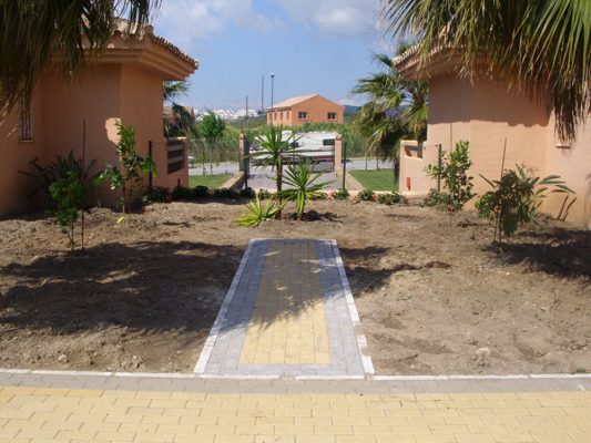 2011 pink stone area with yucca and lemon trees