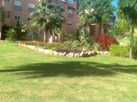 2013 large new planting area in the gardens at Casares del Sol