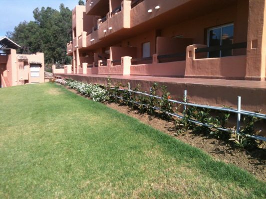 2015 planting along edge of pm4 terraces