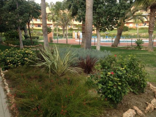 2017 New garden bed created Casares del Sol pm4