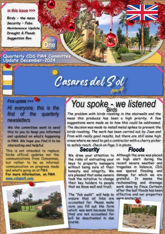 CDS pm4 Newsletter December 2024 english